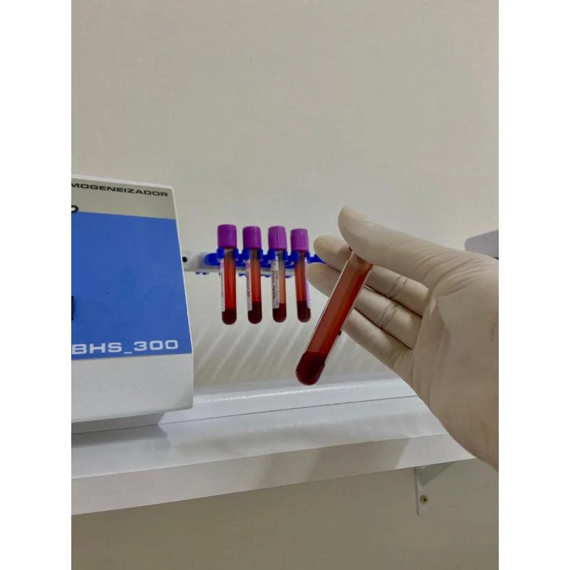 Exame de sangue em cachorro na Grande Florianópolis