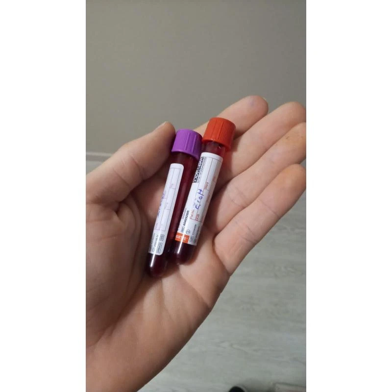 Exame de sangue em cães