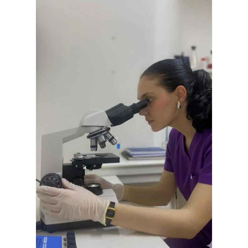 Exame de sangue em gatos