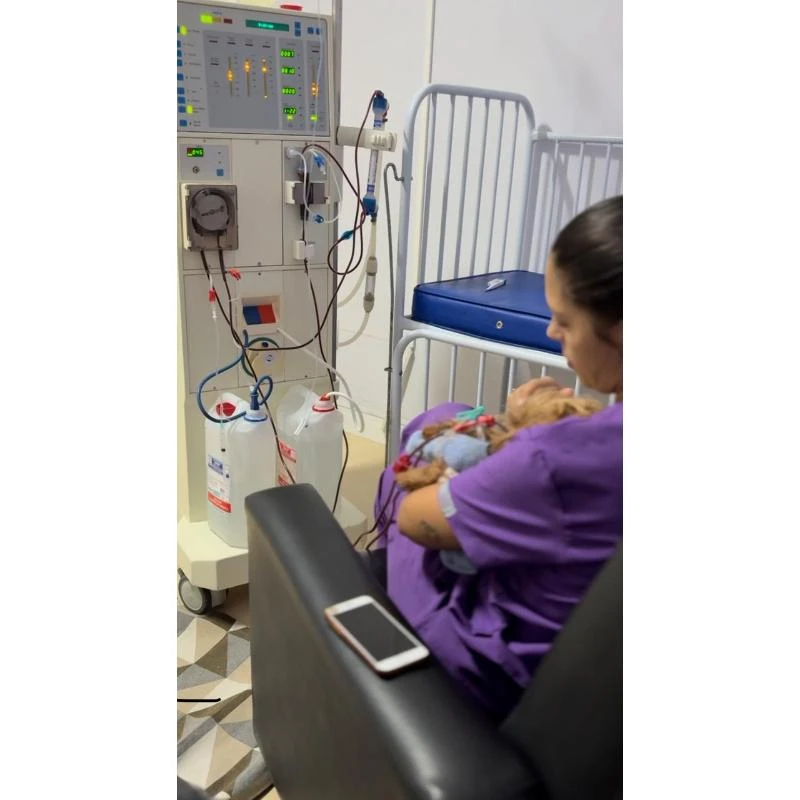 Hemodiálise em cães em Santa Catarina