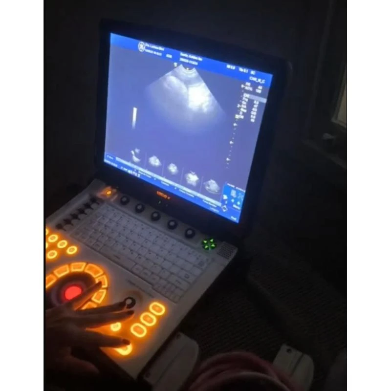 Ultrassom para cães